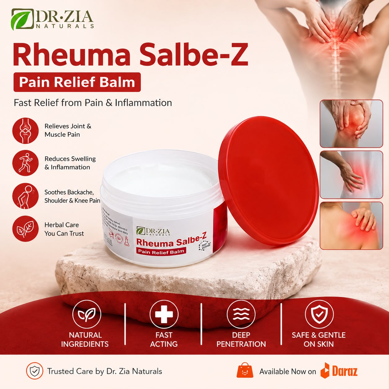 Rheuma Salbe - Pain Relief Ointment for Joints & Muscles 50 gms